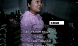 少欲最新爆料,最新爆料背后的真相与启示